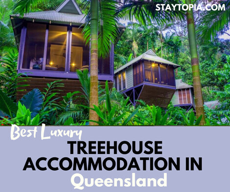 Best Luxury Treehouse Accommodation in Queensland
