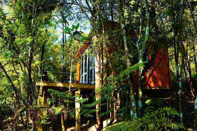 Fantail Bush Chalet - Unique and Affordable Auckland Accommodation