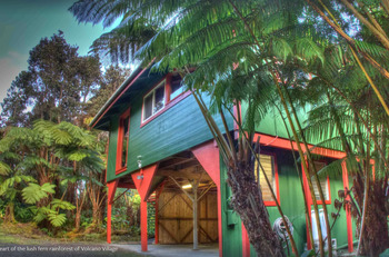 Hawaii Treehouse Rental