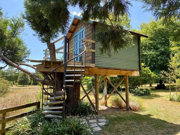 Tui Ridge Retreat Treehouse - Bay of Plenty Unique Accommodation