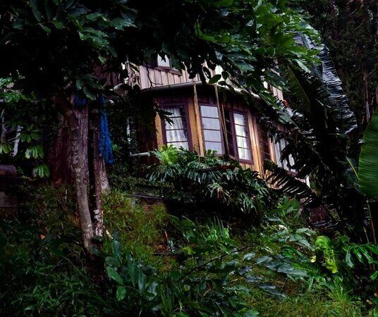 Den of the Treehouse Byron Bay Hinterland Cottages