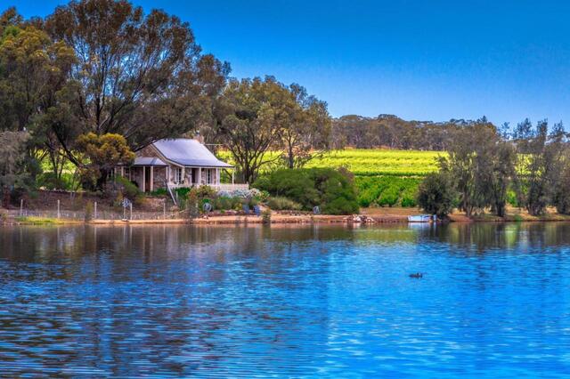 Stonewell Cottages and Vineyard Lake - best Barossa Valley Winery Accommodation