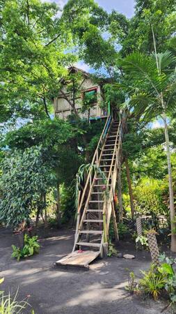 Tanna Volcano Views Tree House - Tanna Island Accommodation Vanuatu
