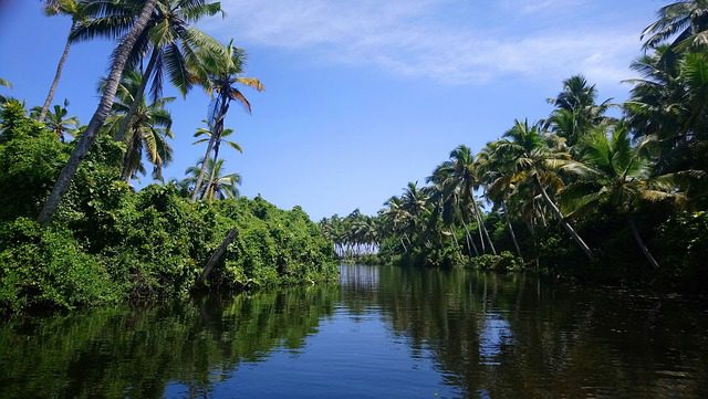 Kerala canal