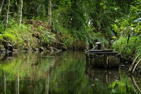 Kerala backwaters canal