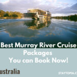 Best Murray River Cruise Packages you can book now