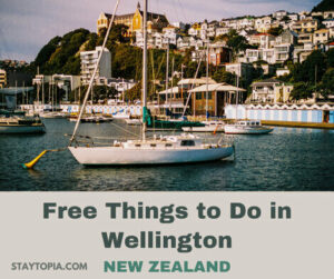 Free Things to Do in Wellington New Zealand