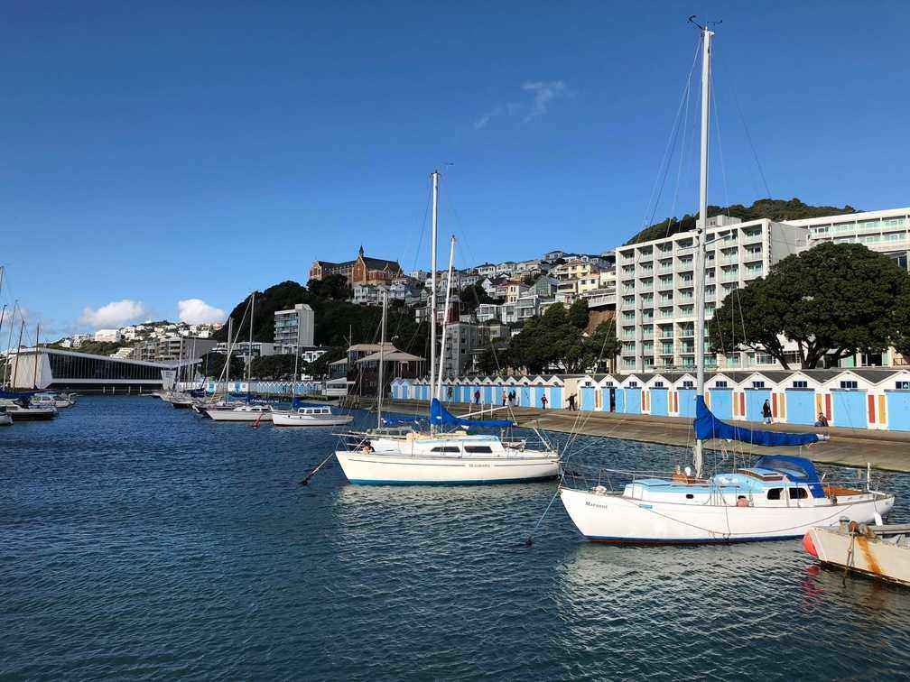 Marina, historic boatsheds and Oriental Bay