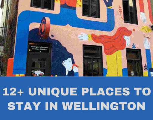 Unique Places to Stay in Wellington