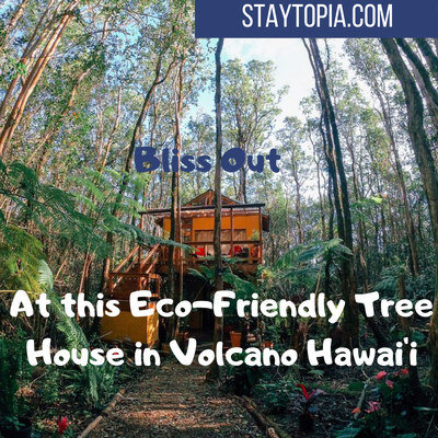 Eco Friendly Tree House in Volcano Hawaií Staytopia