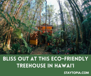 Eco Friendly Treehouse in Volcano Hawaii