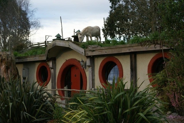 Sleep in a Hobbit Hotel in New Zealand! Woodlyn Park Waitomo