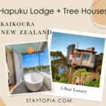 Hapuku Lodge + Tree Houses