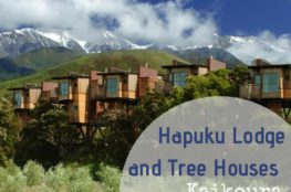 Hapuku Lodge and Tree Houses