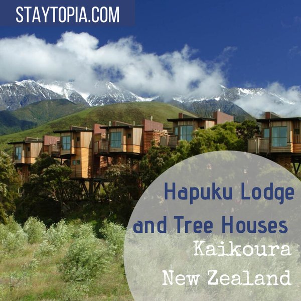 Hapuku Lodge and Tree Houses
