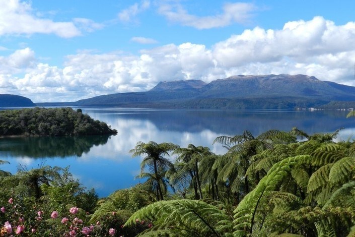 Tui Glen Bach - Unique Places to Stay in New Zealand