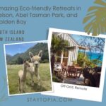 Eco-friendly Retreats in Nelson, Abel Tasman Park, Golden Bay