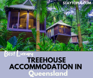 Best Luxury Treehouse Accommodation in Queensland