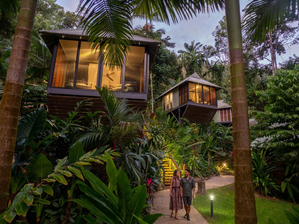 Daintree Treehouse accommodation in Queensland