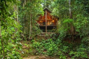 Treehouse