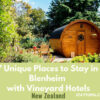 7 Unique Places to Stay in Blenheim with Vineyard Hotels