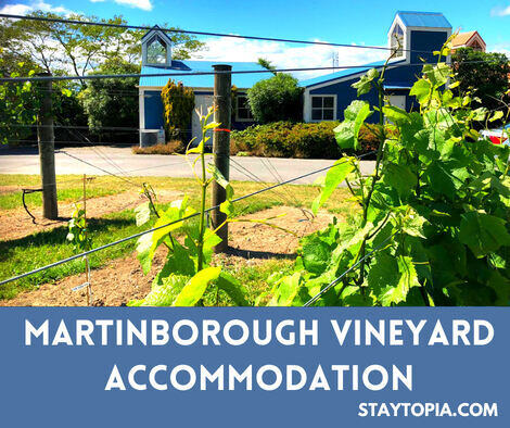 Martinborough Vineyard Accommodation