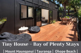 Tiny House Bay of Plenty Stays Staytopia