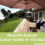 Relaxing Raglan Holiday Homes by the Beach