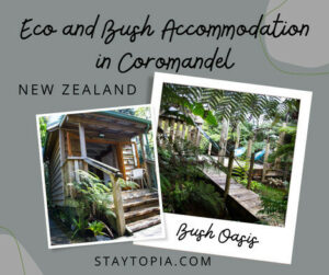 Eco and Bush Accommodation in Coromandel