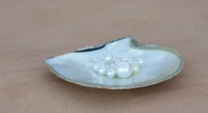 Pearls at the Cygnet Pearl Farm
