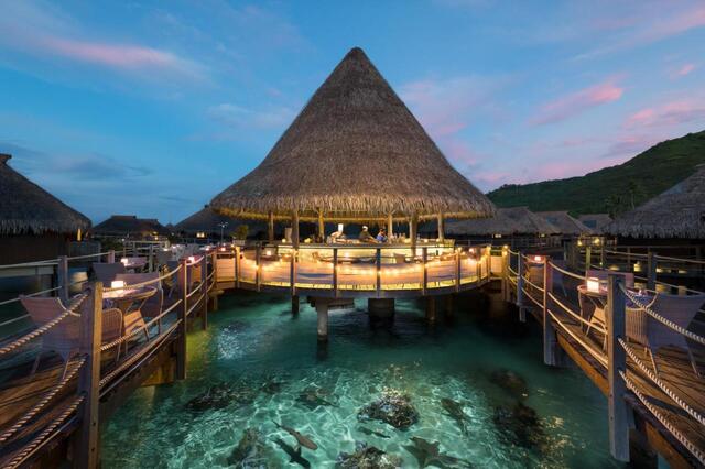 Hilton Moorea Overwater Restaurant - best overwater bungalows in Tahiti