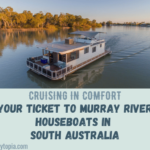 Murray River Houseboats in South Australia