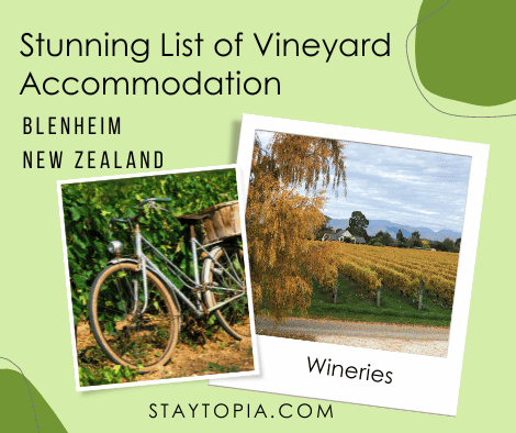 Stunning List of Blenheim Vineyard Accommodation in NZ