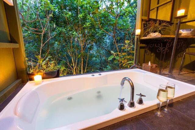 Wairua Lodge Rainforest Retreat