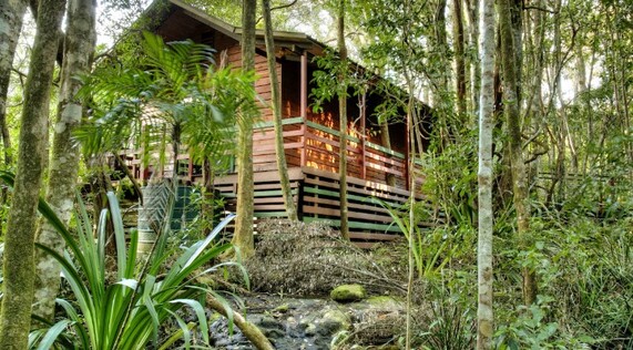 Mouses House Rainforest Retreat in Springbrook
