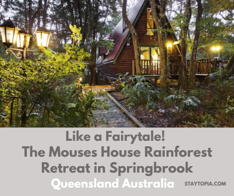 The Mouses House Rainforest Retreat in Springbrook