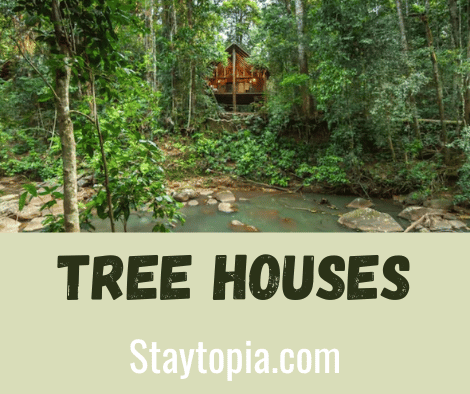 Tree Houses