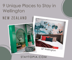 Unique Places to Stay in Wellington NZ