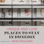 Unique and Luxe Places to Stay in Dunedin