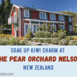 The Pear Orchard Nelson