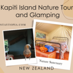 Kapiti Island Nature Tour and Glamping