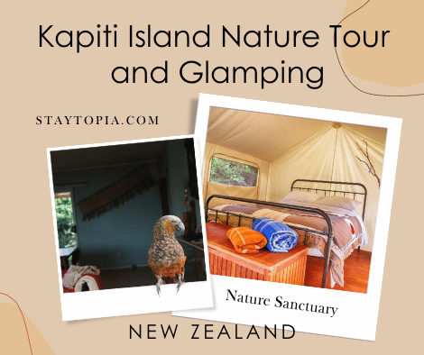 Kapiti Island Nature Tour and Glamping
