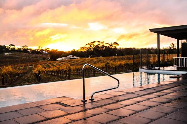 The Louise infinity swimming pool