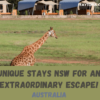 Unique Stays NSW for an Extraordinary Escape!