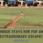 Unique Stays NSW for an Extraordinary Escape