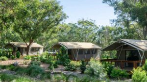 Port Stephens Koala Sanctuary Glamping