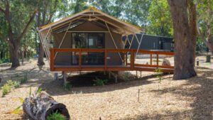 Port Stephens Koala Sanctuary Glamping