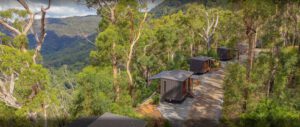 Binna Burra Tiny Wild Houses