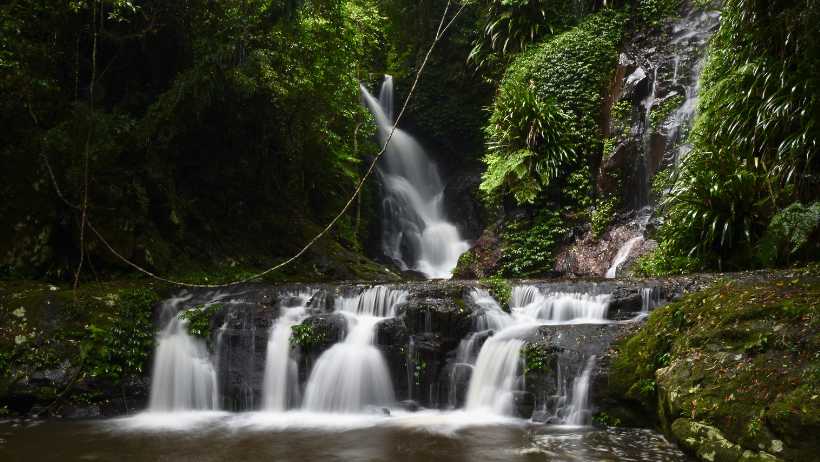 Lamington National Park