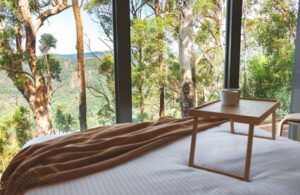 View from Binna Burra Tiny Wild House